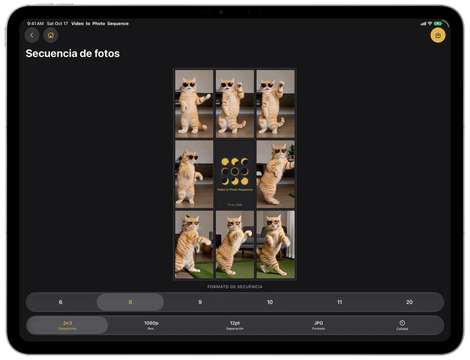 Ocho fotogramas de un gato alrededor de un recuadro con el título, sobre el selector de número de fotogramas y la barra de opciones de un iPad Pro en horizontal