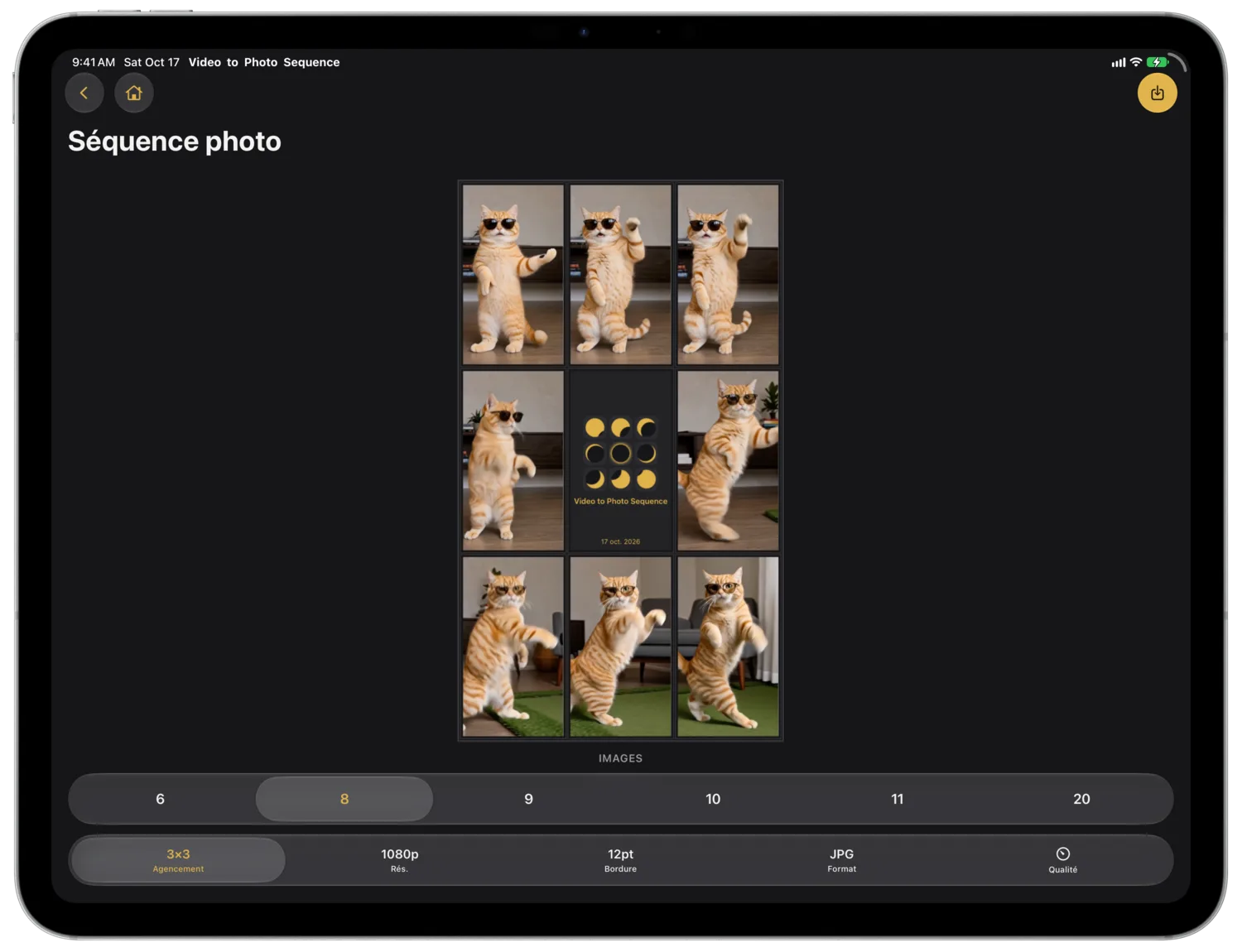 Huit images de chat autour d’un cartouche de titre, au-dessus du sélecteur du nombre d’images et de la barre d’options, sur iPad Pro en paysage