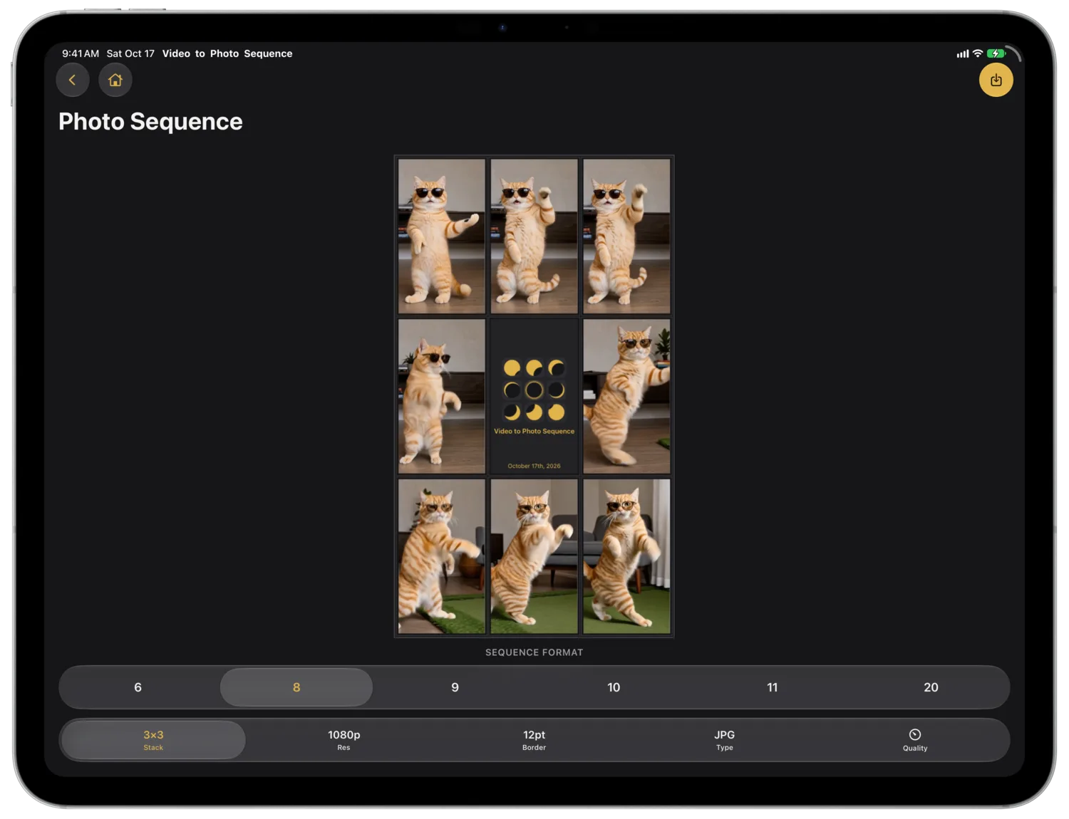 Eight Cat Frames Around a Title Card Above the Frame Picker and Options Bar on iPad Pro in Landscape