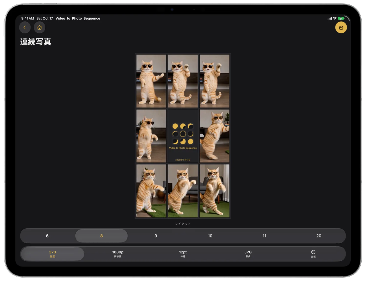 横向きのiPad Proで、猫を写した8つのフレームがタイトルカードを囲み、その下にフレーム数の選択欄とオプションバーが並ぶ画面